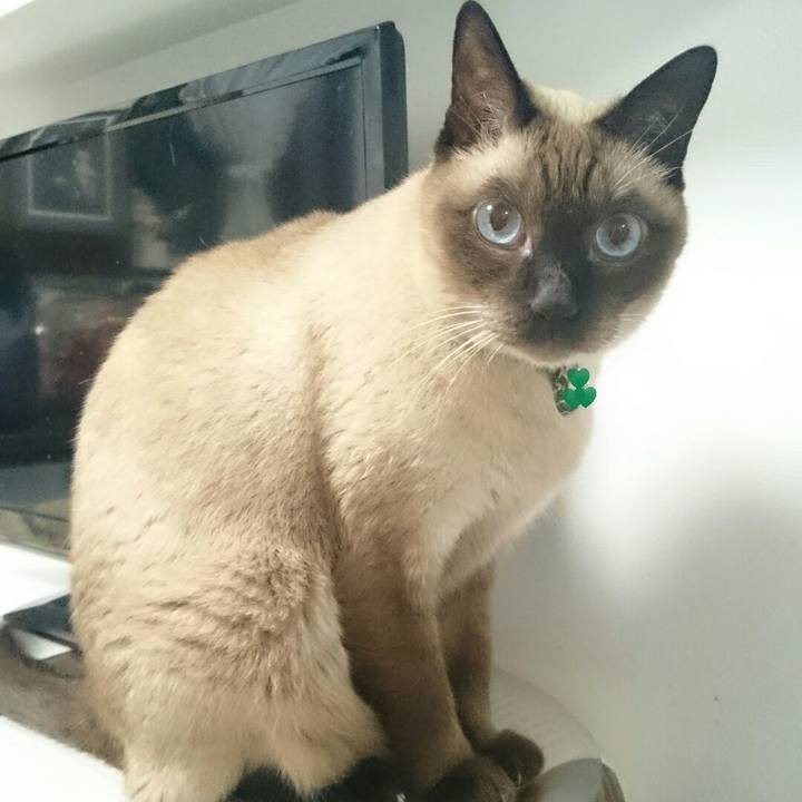 920659a3 7901 4798 a1d4 6ae6e5062afe