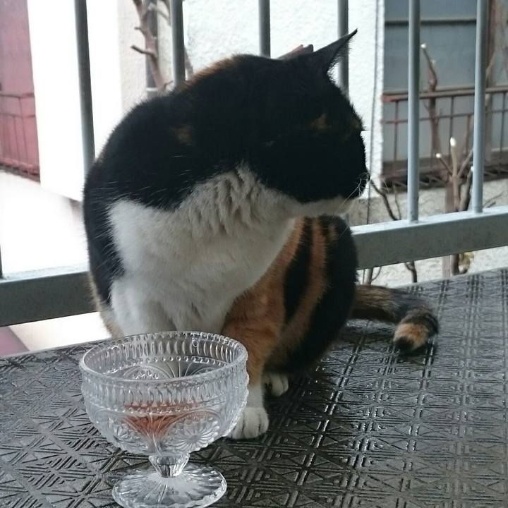 9206b903 7c43 416c bc89 c75d28d1c413