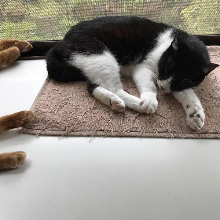 9206c001 f364 43ec 8a05 1d7ca8da5885