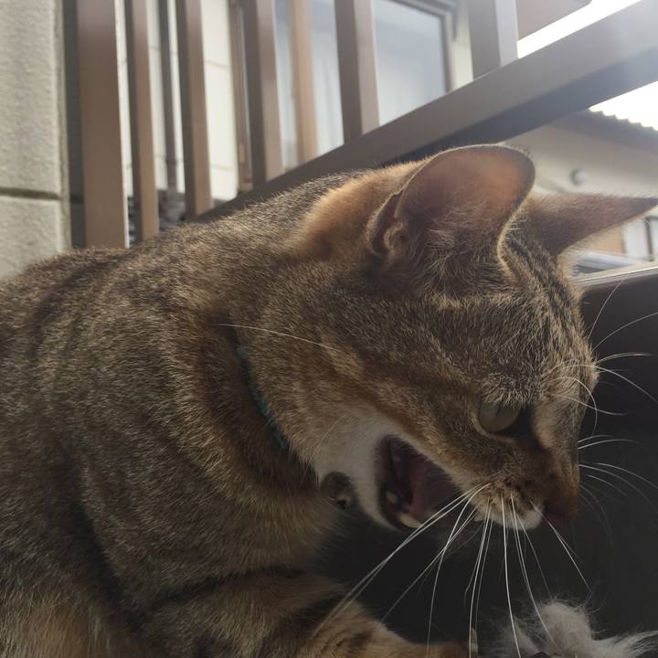 9206f401 6382 48d8 9a3e 684b2e4fb2c9