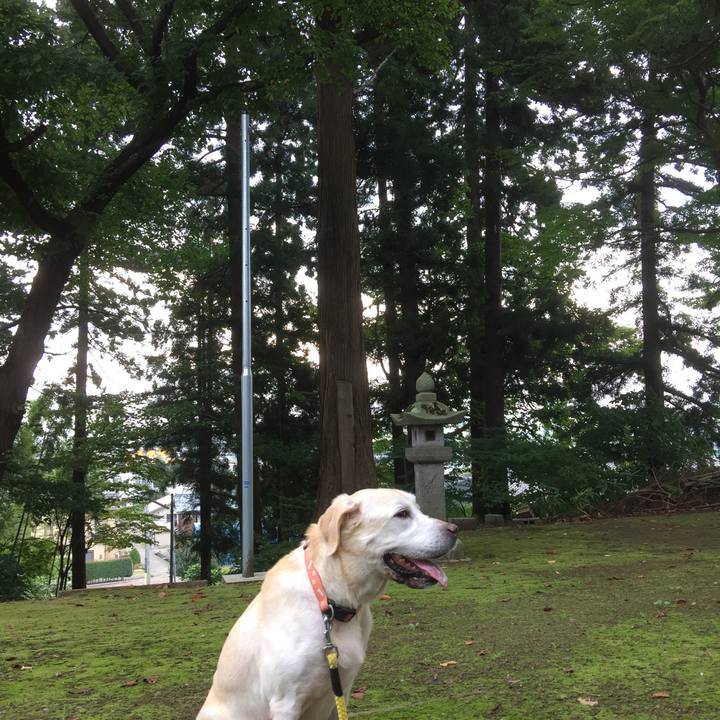 920705f0 1e9c 47ef 9932 119b2abf187a