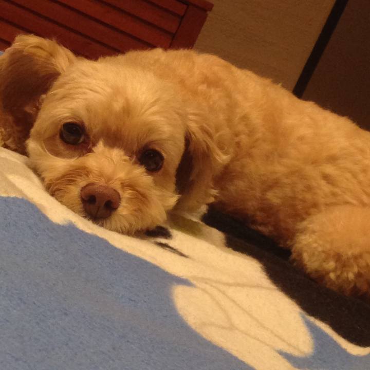 92071e35 aa6c 47d1 810a dbba74e264bc