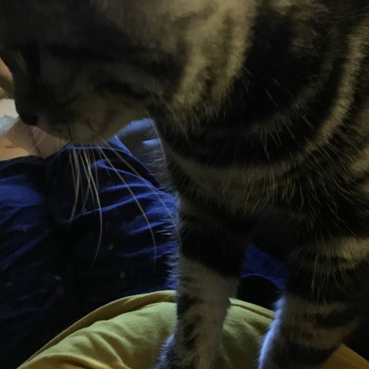 92071f33 3aff 4561 92e3 77d6c1b783be