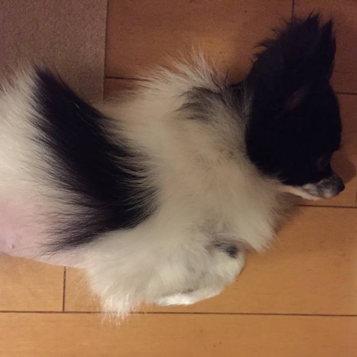 92074862 486f 4ce7 b43d 6ed58182939b