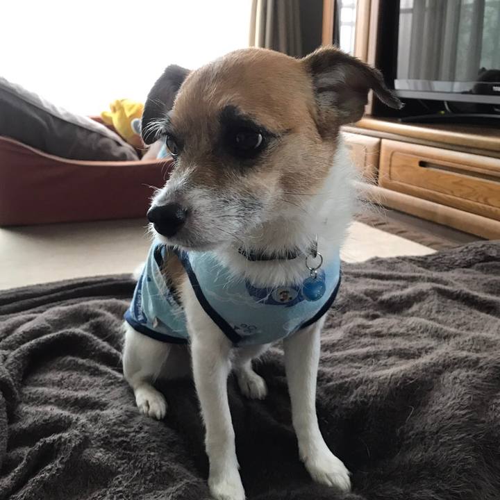 920769a4 15f2 45b4 a6d5 1d347fdb56c2