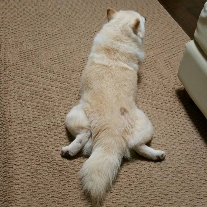 9207d372 c375 4068 8e6b e8d8e360f60c