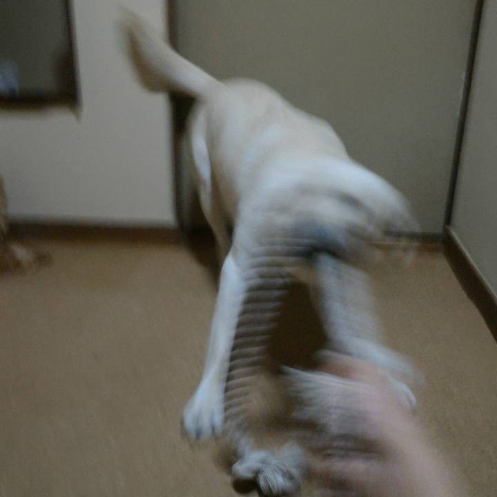 9207d80c 873d 42d2 9a12 57bda244f00f