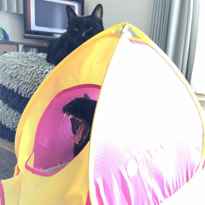 92084357 40f3 47f4 963d 1e34c6028f5e