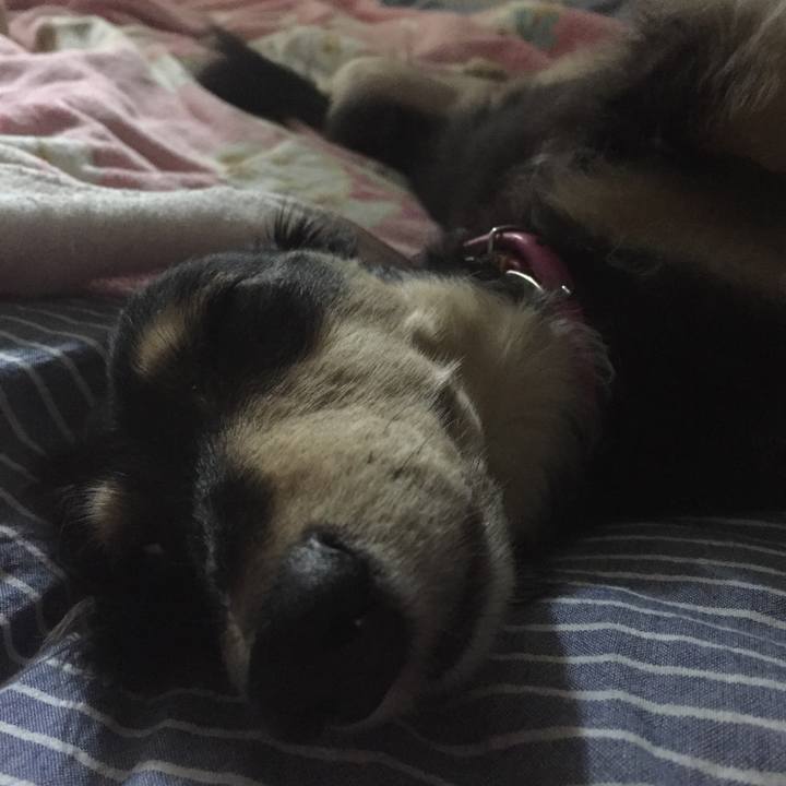 92087da1 6aff 4bb5 af0d c30ff44b13c2