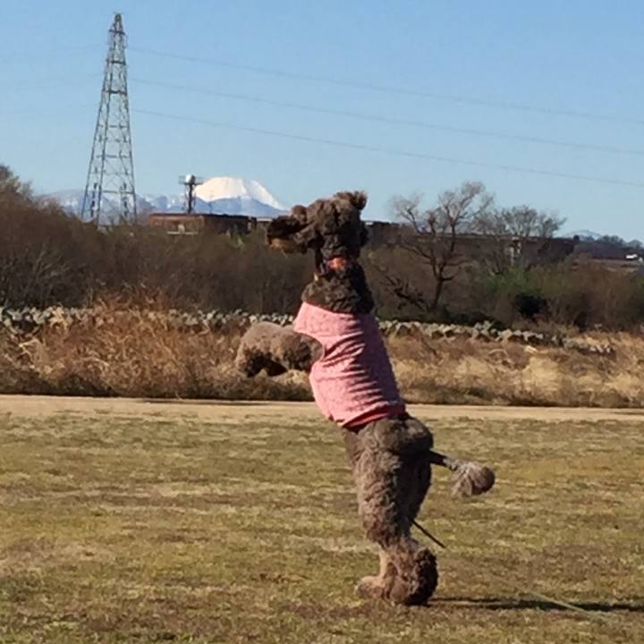 920888ec b6cb 4c59 8caa e6db2906db20