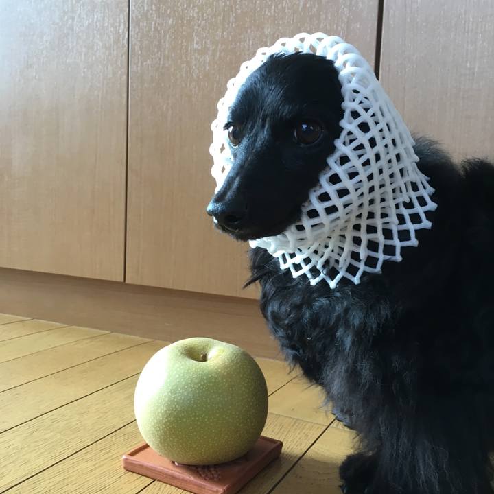 9209b0b6 4b45 4de2 9d76 4563f00dd8ff