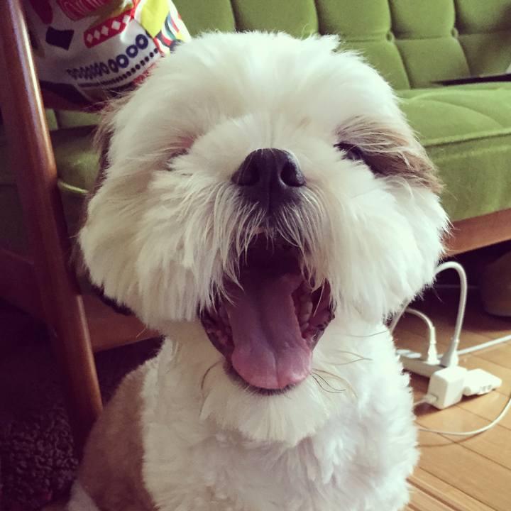 9209c251 9b56 45c2 bcfa 2f54f17c42ad