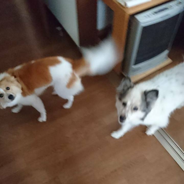 920a317e 829d 4ea0 9866 d9bd00f36dee