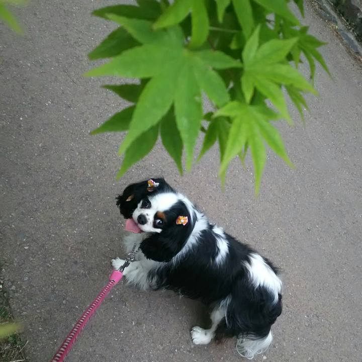 920aa492 aa09 44ae ada3 5c42431e1d34