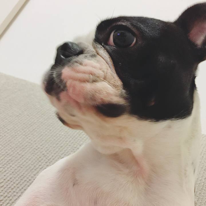 920af078 b8e9 4d5b 926e 16ea34b1daa4