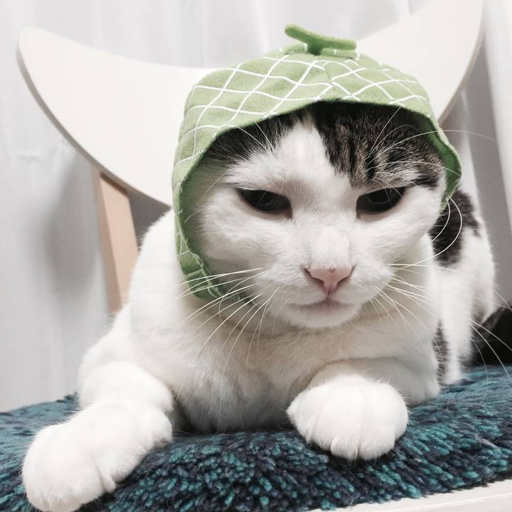 920af64c 9d39 4ea9 994f 8caaaf0c8abc