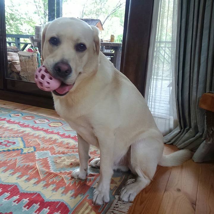 920b8353 f2f2 41a1 a534 c64d26a6e50a