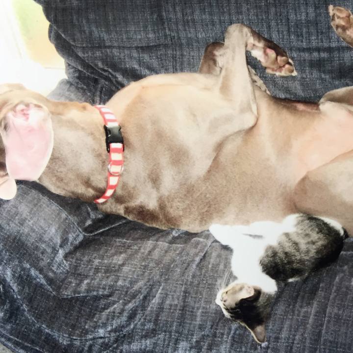 920c17b6 d3a0 4e6a a507 8d0d223c6a25