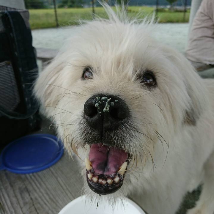 920c95cc b6fb 4fd6 a26f dd076171a899