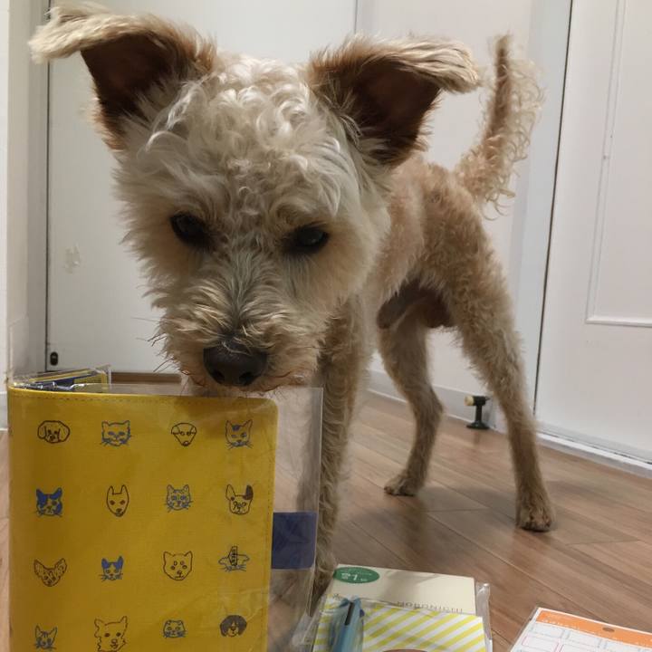 920ca228 d2c0 414e 9c44 8dc7a3e210e3