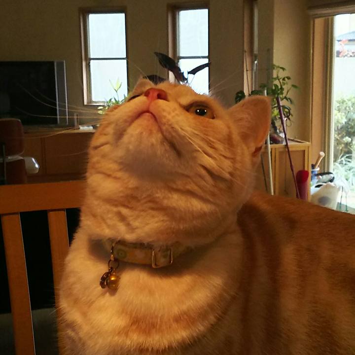 920cc17f cfd0 4bd9 965c 7df9f19e9941