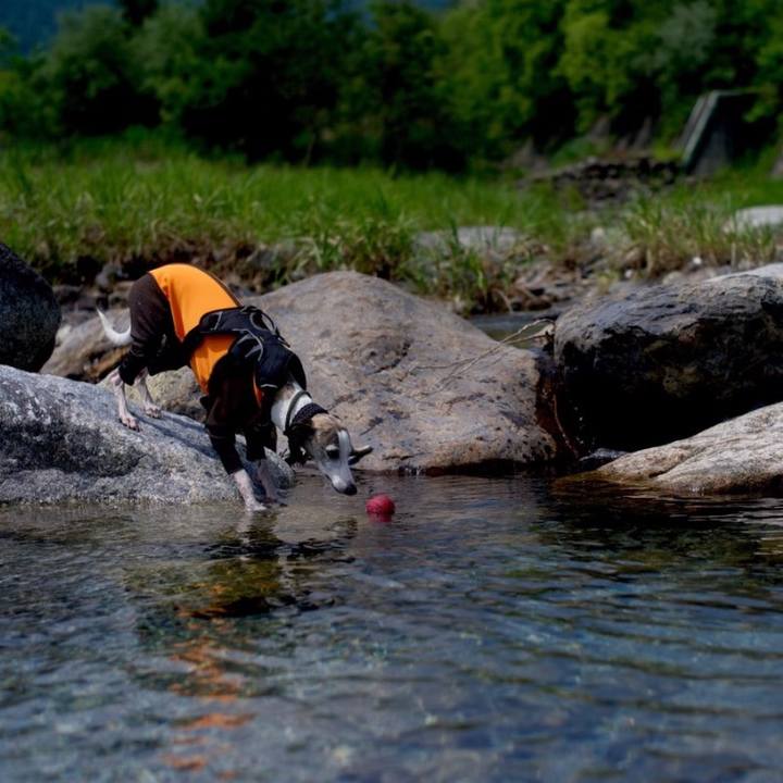 920cdab7 1767 4020 a29a 310be9c0596c