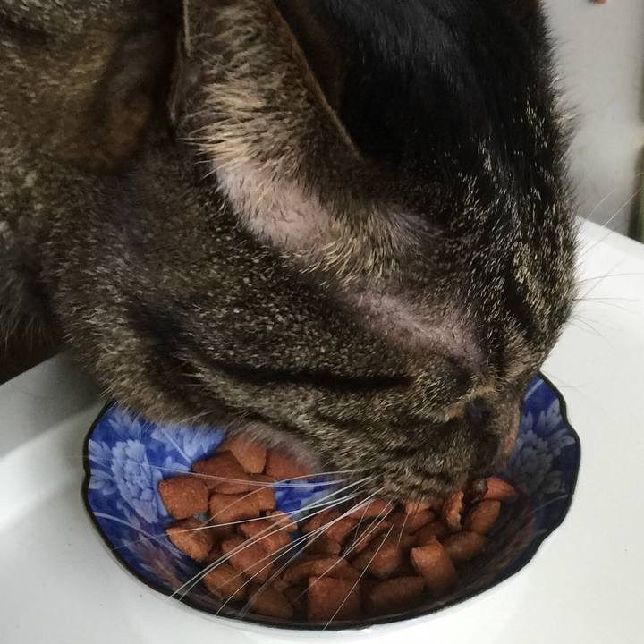 920d3750 c1a3 4831 912c 1129ea23799d