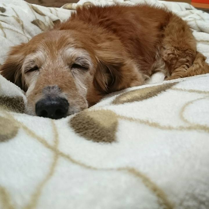 920d4a1d c7dd 4502 a1f3 4d7a6b87d9de