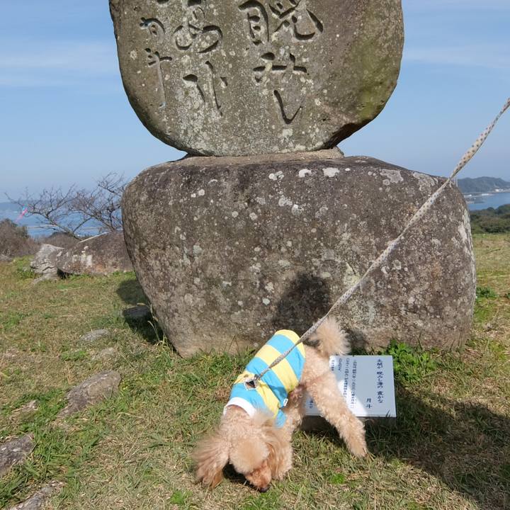 920dbbad 11f6 4b31 8f12 2a7c88ded874