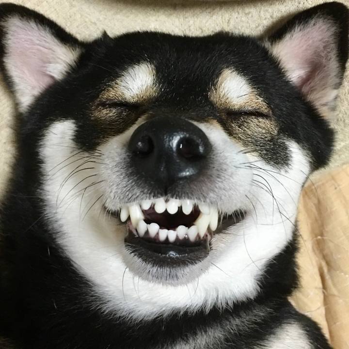 920e6639 fa3c 42e2 95d9 a406070b16ea