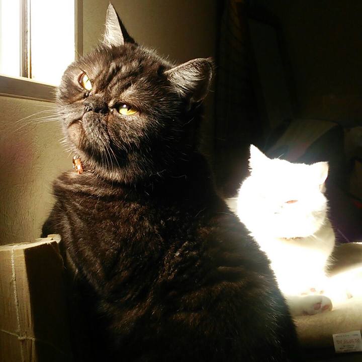 920ef3eb 24b3 404e 8cb9 b494aacd992e