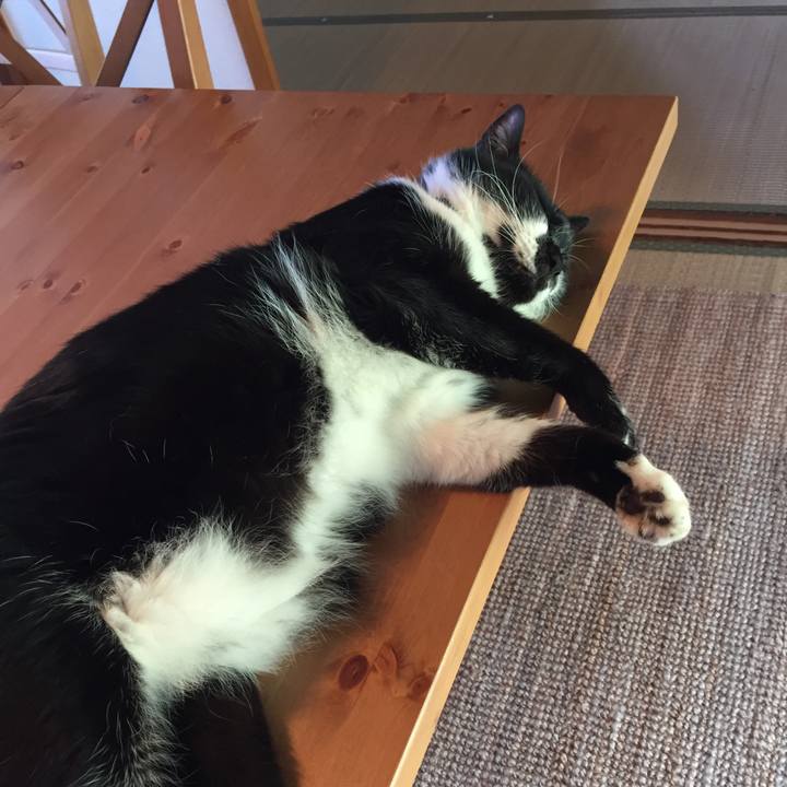 920f664d b295 43c9 8b2a b7998f6f0057