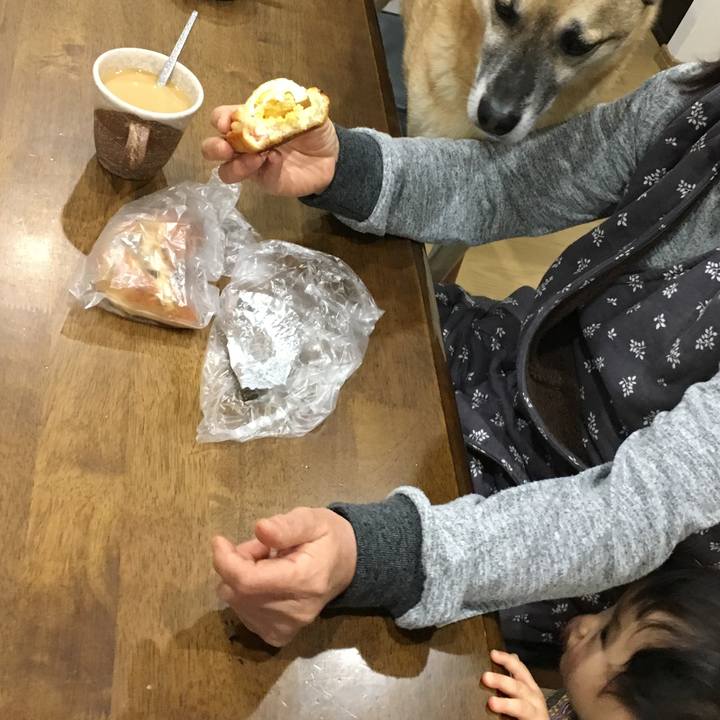 9210137d 5bc9 4f9f b3db 8e61b453e2fa