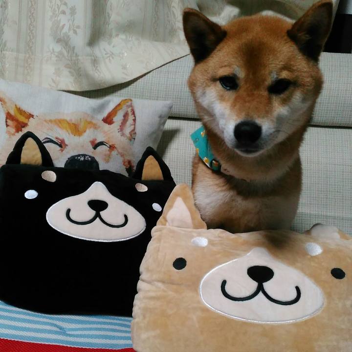 9210dbd8 6ef4 453d 8270 b95b366e317d