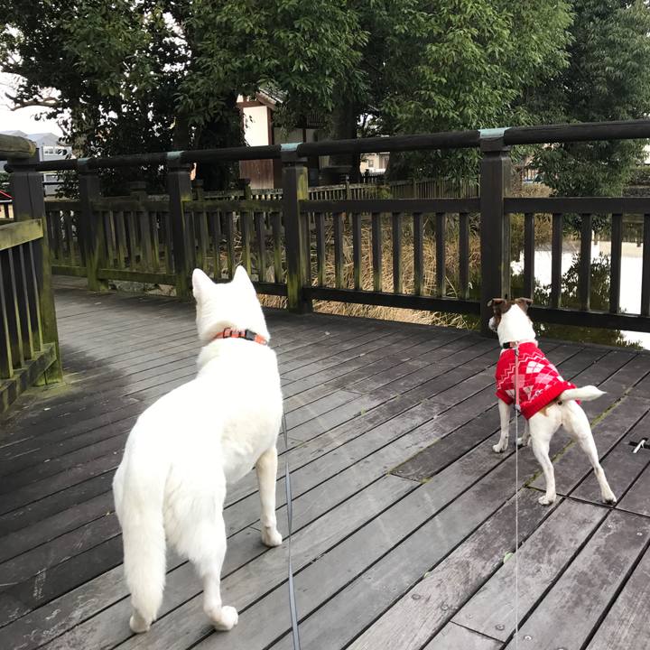 92110489 d04f 4d0f bf9c 4196092bb47b