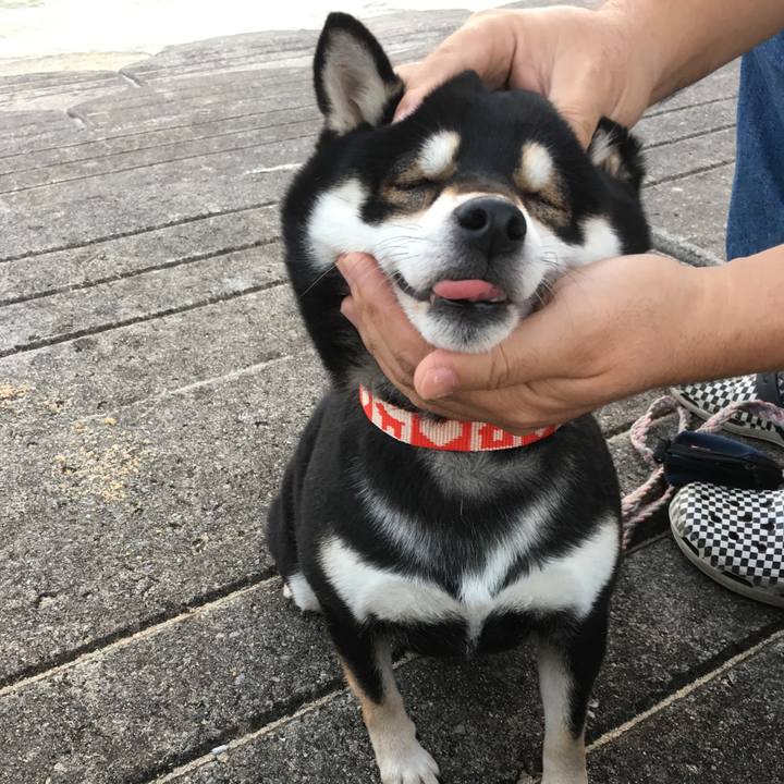 921124bd ef33 4f29 8087 61583ccedf1e