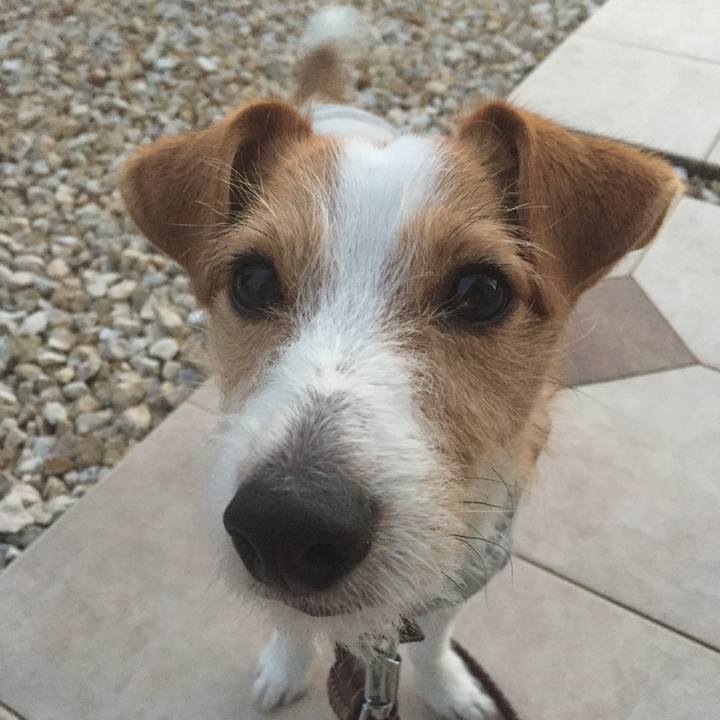 9211cafd ba7a 41af 8e60 aee6a3930edf