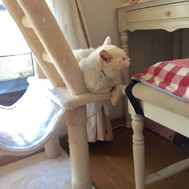 9211f73f 6d30 4d55 86bc 70ea9d949675