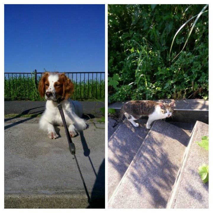 9212040e 9bd6 4159 8107 0fa6b67d9e3a