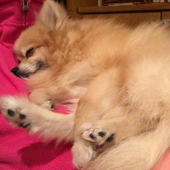 92122a75 820e 4617 84a0 de19e436c9ac