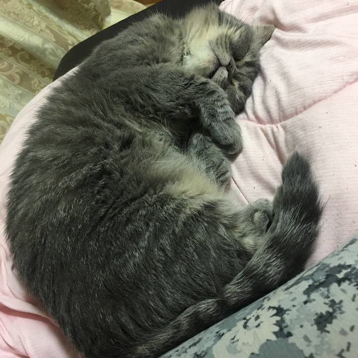 9212ea25 c836 4600 a56d 034e79741e4a