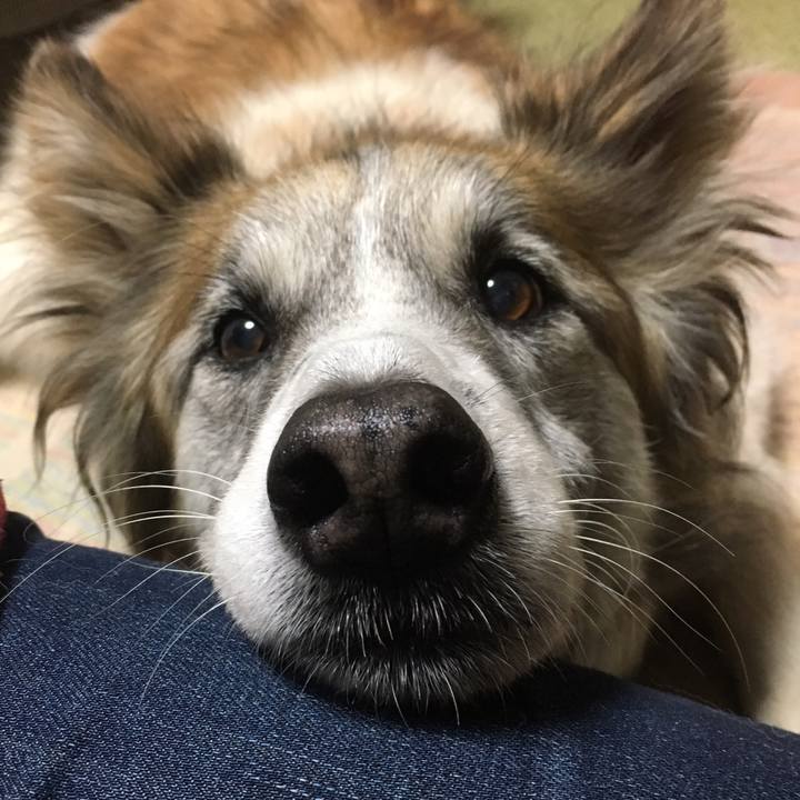 921361af 9638 4399 954b e66d1786daad