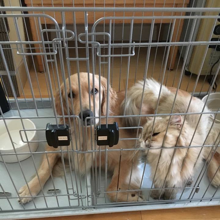 9213cf3a 8cff 4e0d a32f de85840f92f1