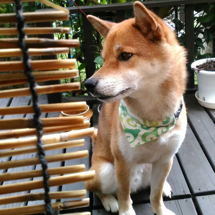 92169808 3a6f 4f1b 9839 d820244e1810