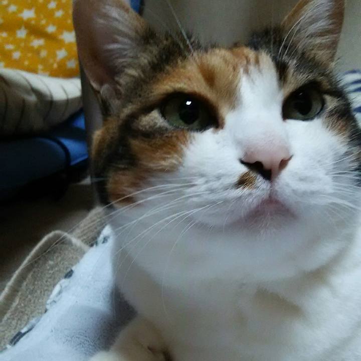 92169832 9931 461c 8a88 9f64c6f648e4