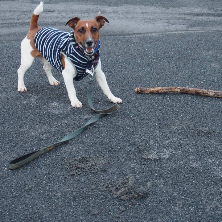 9217143a dc1b 4cfd 936a 7c3dd45653c7