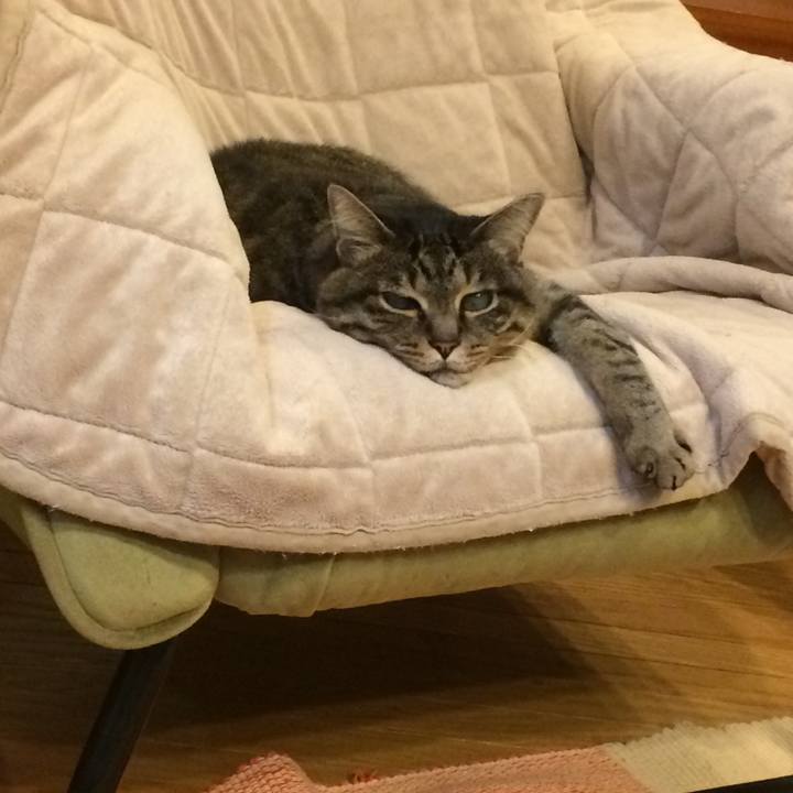 9217287d b95f 4da8 a3a2 cd71144639c5