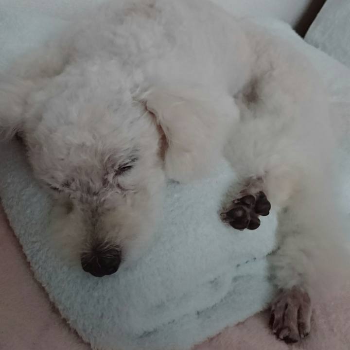 921782b5 1c12 4192 8f33 a1766fea9c78