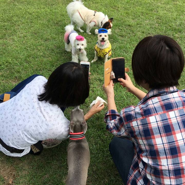 9217beb9 fd37 4160 ae4d dfd75053413f