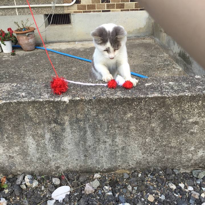 9217ca0e c04e 4d21 baab 5fceb20d82b8